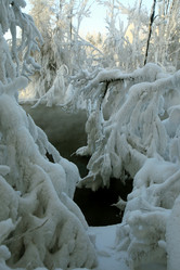 Similar image 13310203