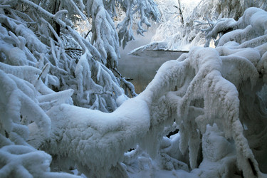 Similar image 13310207