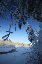 Similar image 13310270