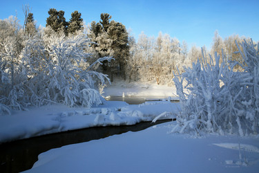 Similar image 13310140