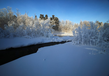 Similar image 13310146