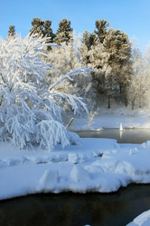 Similar image 13310147