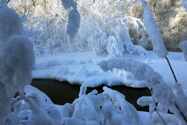 Similar image 13310236