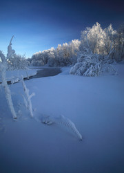 Similar image 13310141