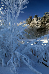 Similar image 13310002