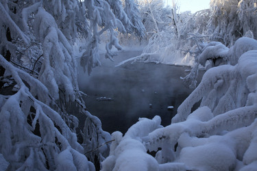 Similar image 13310272