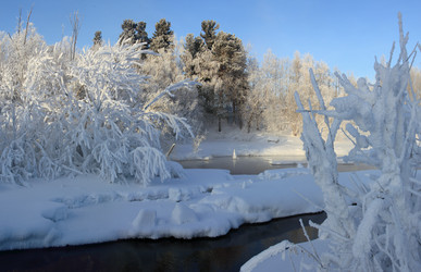 Similar image 13310201