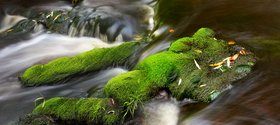 Similar image 13316830