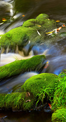 Similar image 13310014