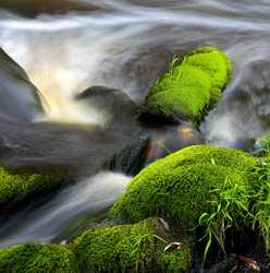 Similar image 13310015