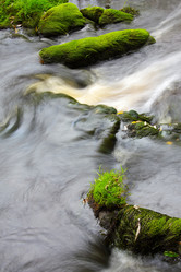 Similar image 13310152