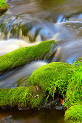 Similar image 13310158