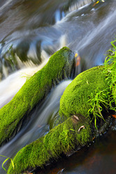 Similar image 13310242