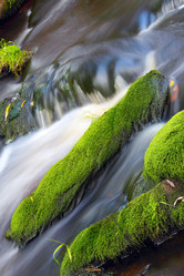 Similar image 13309960