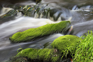 Similar image 13309974