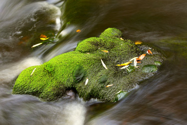 Similar image 13310107