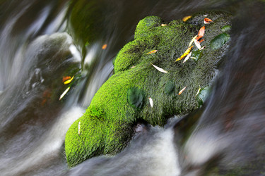 Similar image 13310117