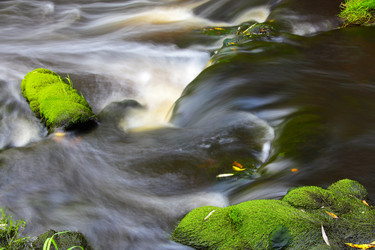 Similar image 13310093