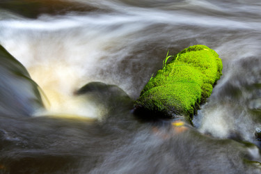 Similar image 13310144