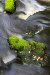 Similar image 13310149