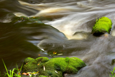 Similar image 13310209