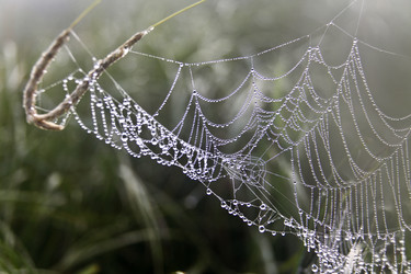 Similar image 13310153