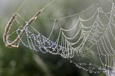 Similar image 13310212