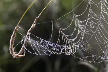 Similar image 13310213