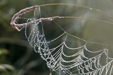 Similar image 13316801