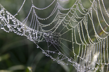 Similar image 13316802