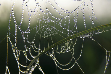 Similar image 13316832