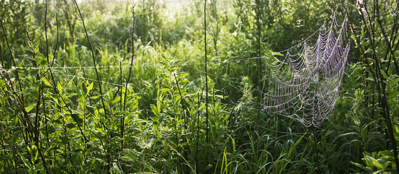 Similar image 13310016