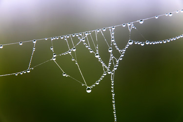 Similar image 13310020