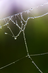 Similar image 13310038