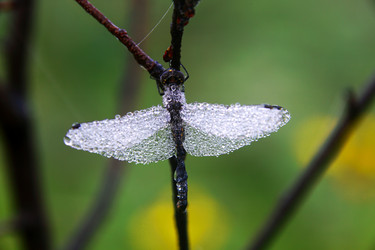 Similar image 13310215