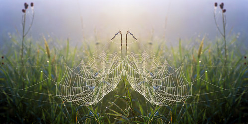 Similar image 13310224