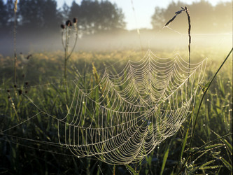 Similar image 13309976