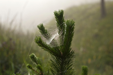 Similar image 13309982