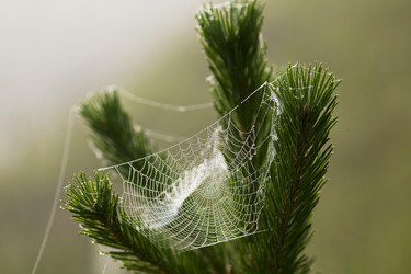 Similar image 13309985