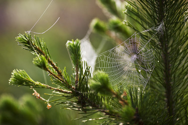 Similar image 13310000