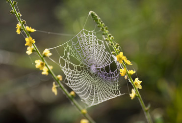 Similar image 13310104