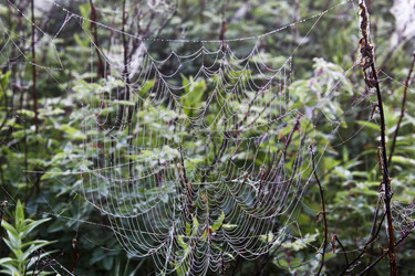 Similar image 13310234