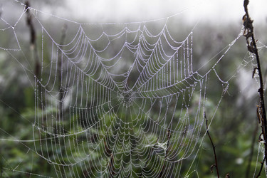 Similar image 13310238