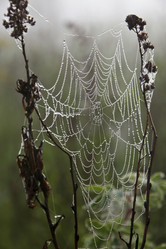 Similar image 13310254