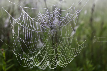 Similar image 13310279