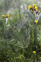 Similar image 13310021