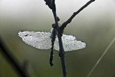 Similar image 13310102