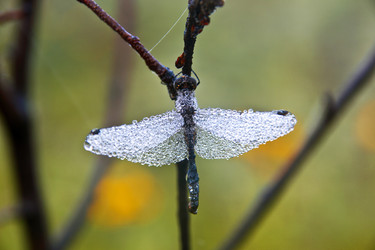 Similar image 13310105