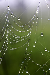 Similar image 13310200