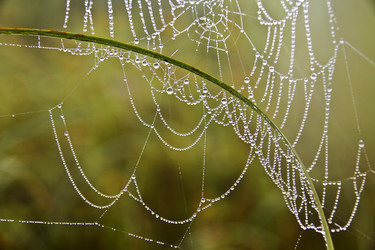 Similar image 13310204